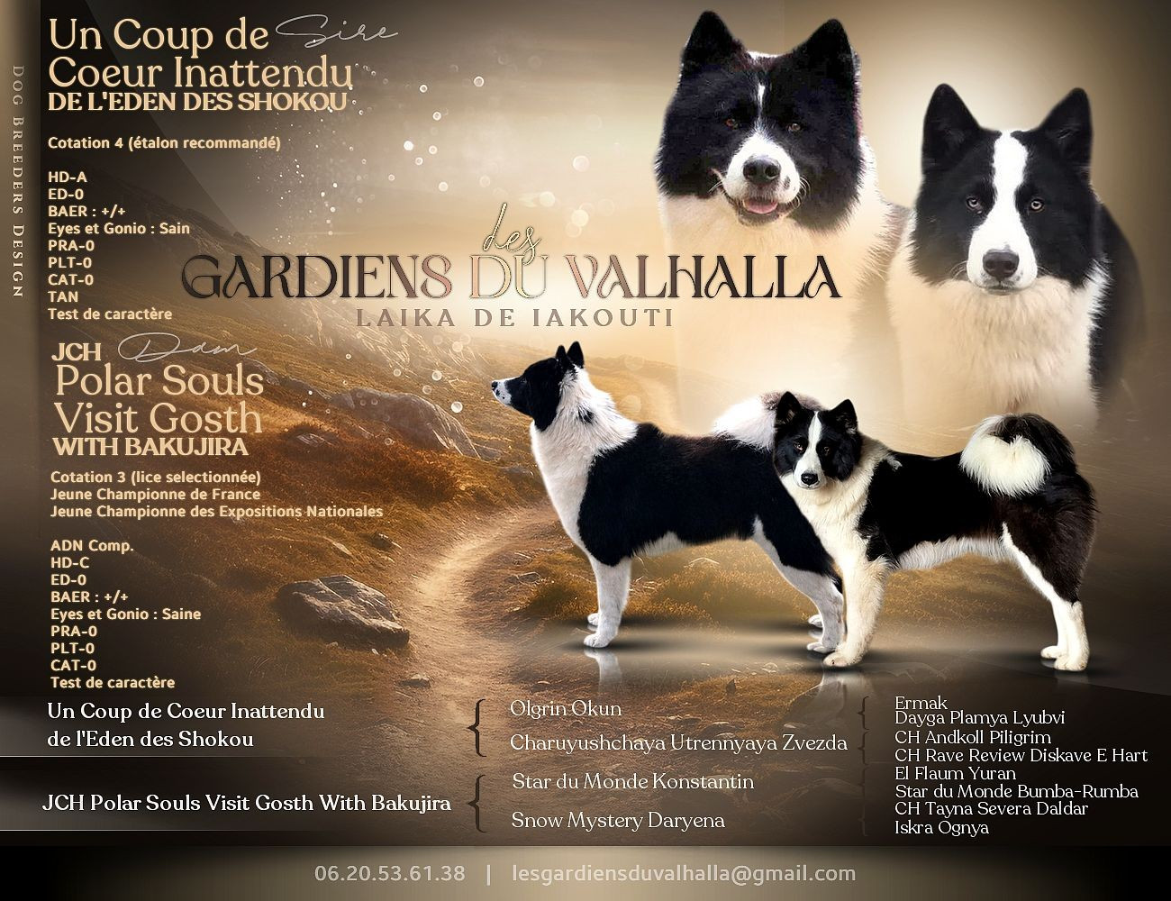 Des bébés en route